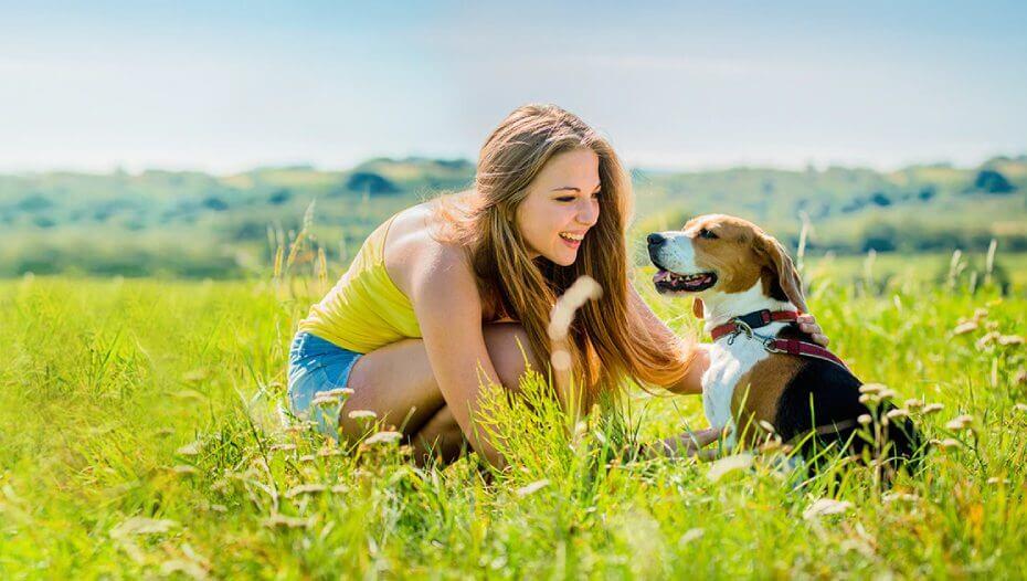 Your Dog s Health Purina New Zealand